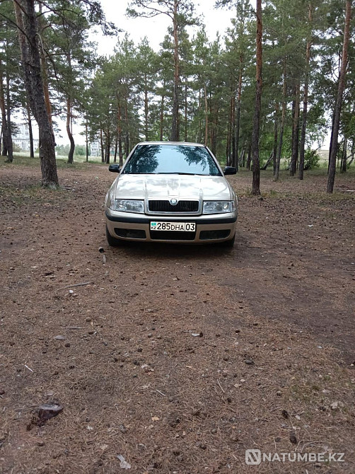    year Almaty - photo 5