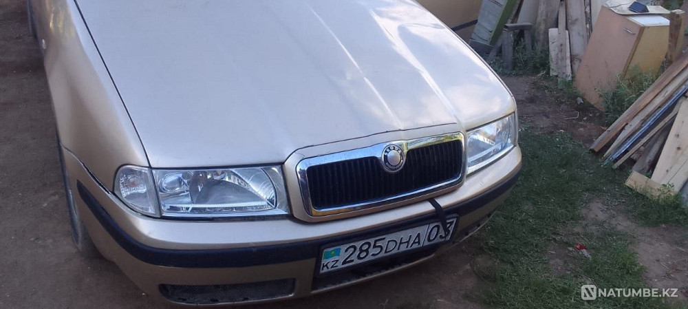    year Almaty - photo 1