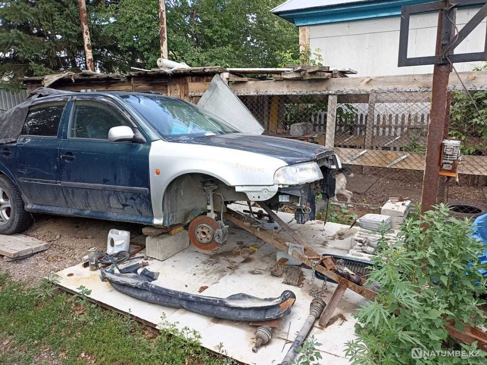    year Almaty - photo 2