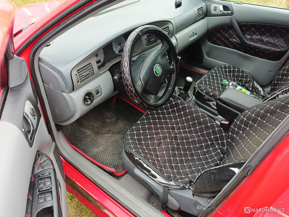    year Almaty - photo 4