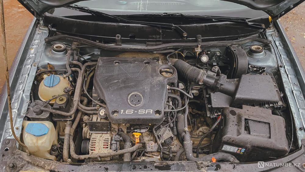    жыл  Алматы - изображение 9