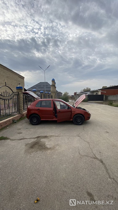    year Almaty - photo 5