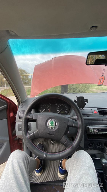    year Almaty - photo 8