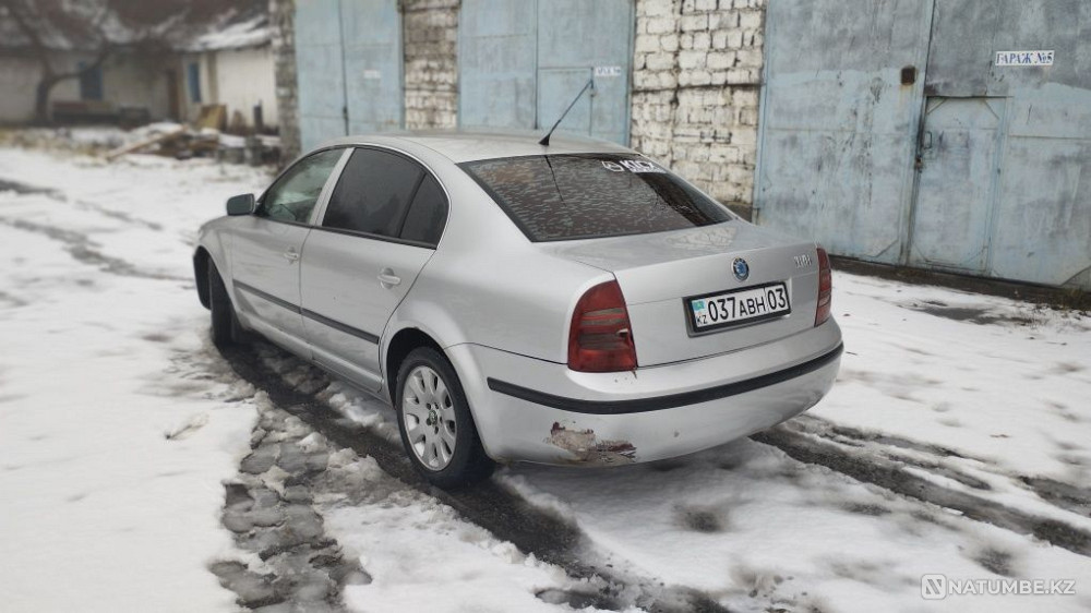    year Almaty - photo 9