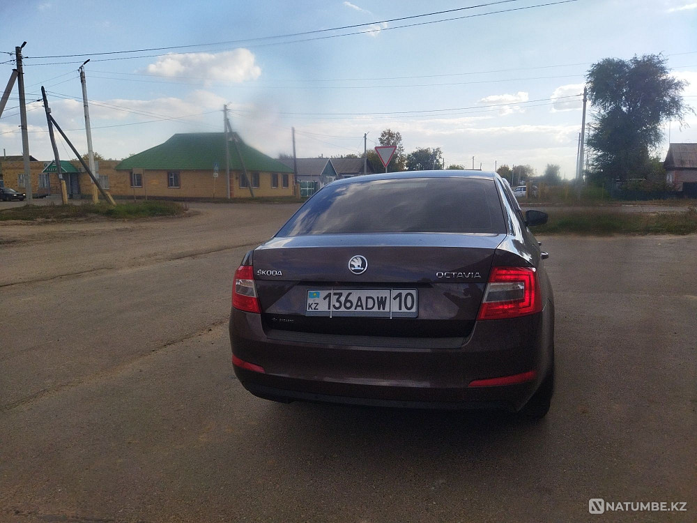    year Almaty - photo 3