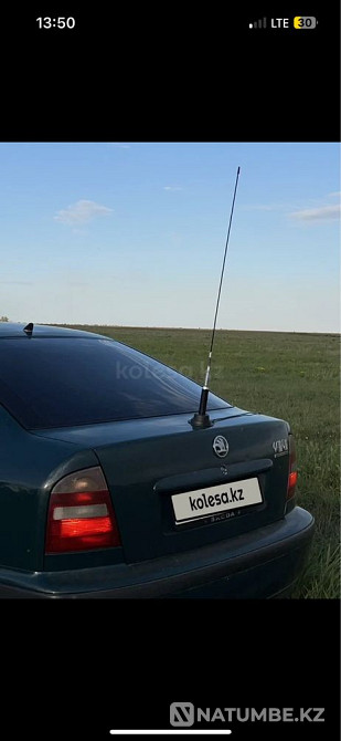    жыл  Алматы - изображение 1