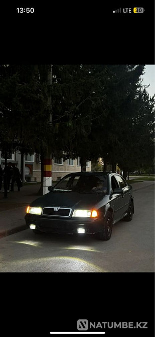    жыл  Алматы - изображение 7