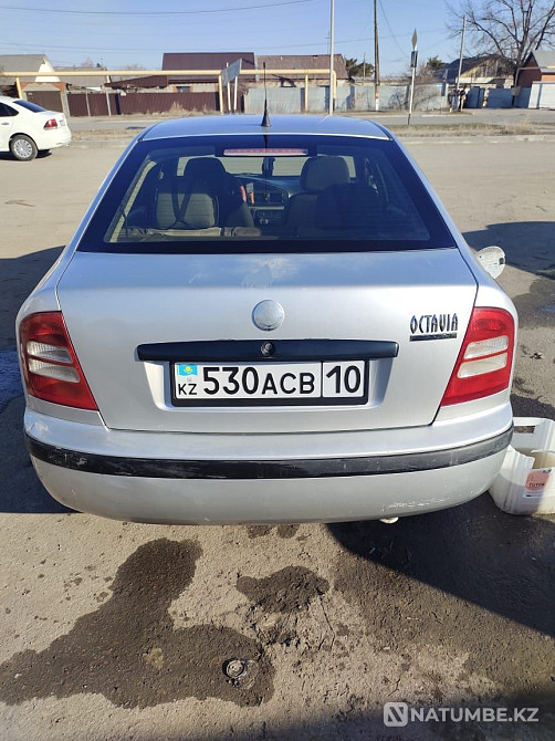    year Almaty - photo 6