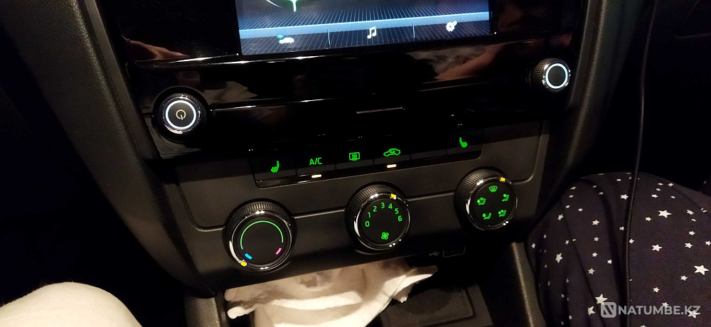    года Алматы - изображение 4