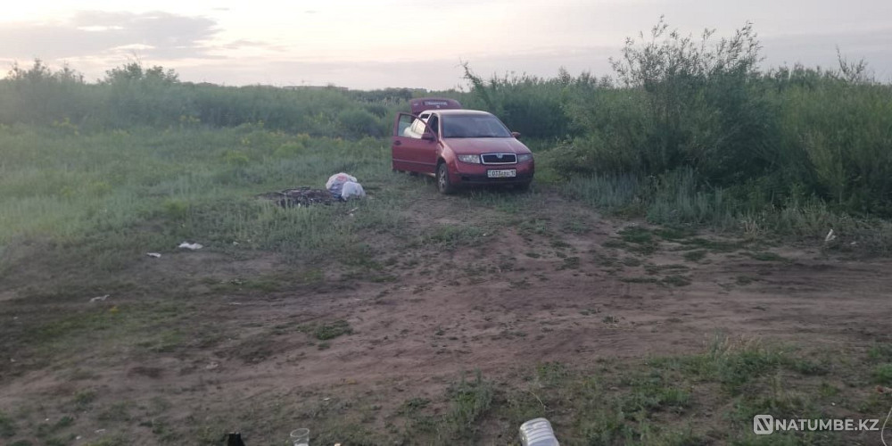    жыл  Алматы - изображение 3