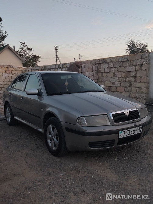    year Almaty - photo 5