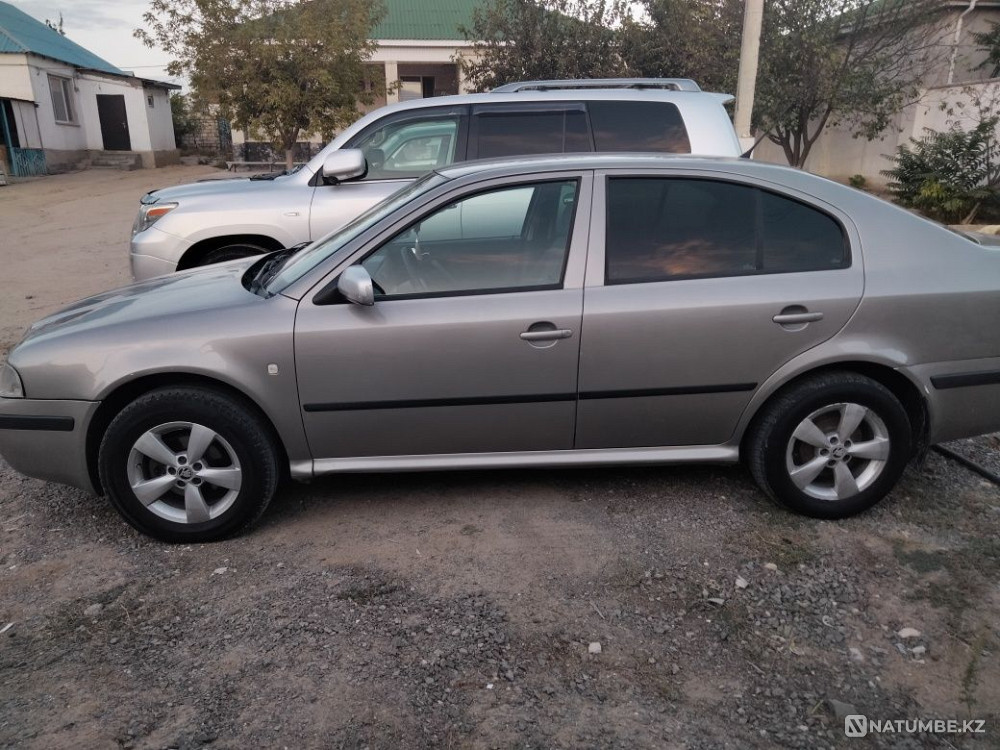    year Almaty - photo 2