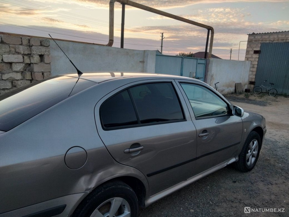    year Almaty - photo 3