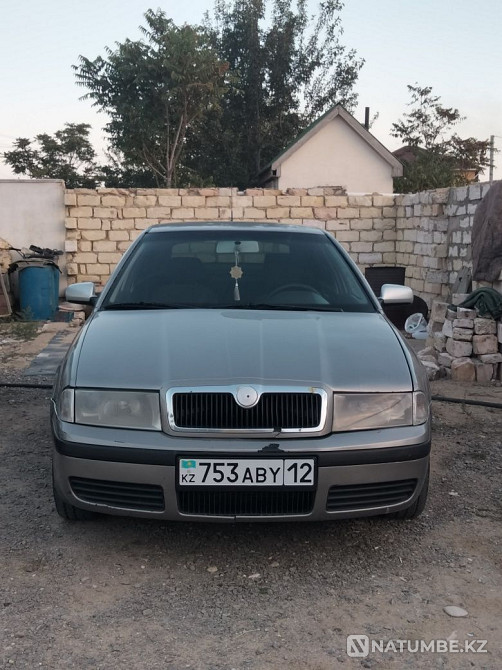    year Almaty - photo 7