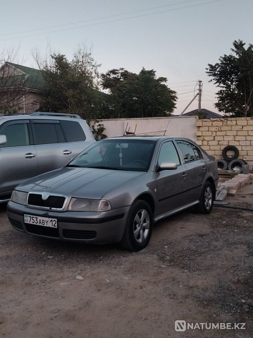    year Almaty - photo 6