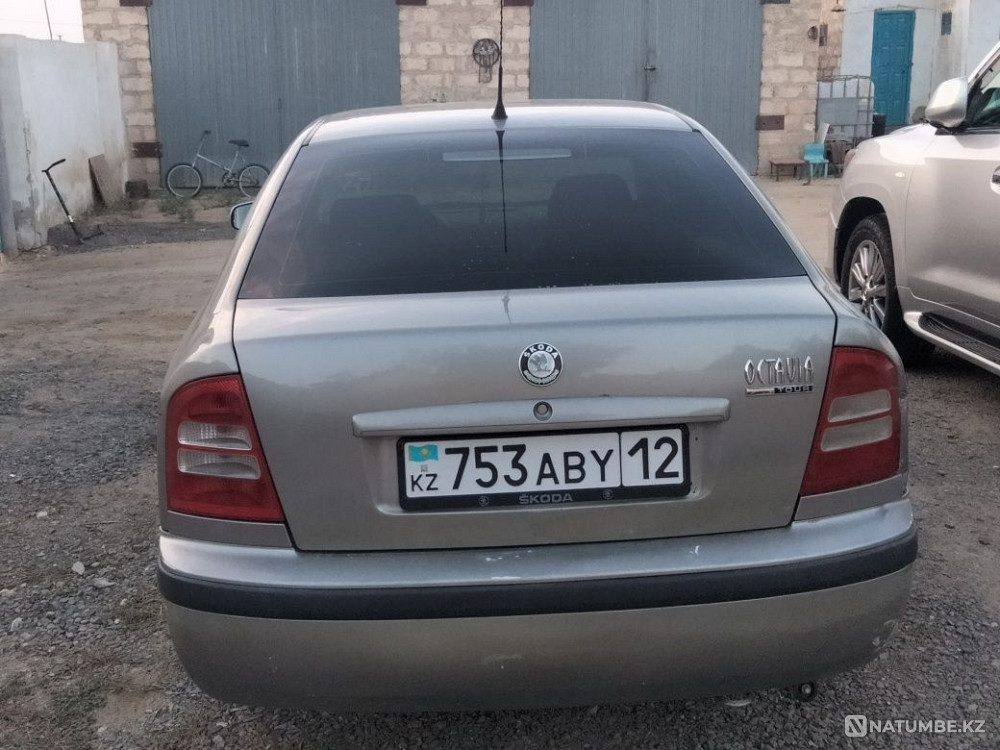    year Almaty - photo 1