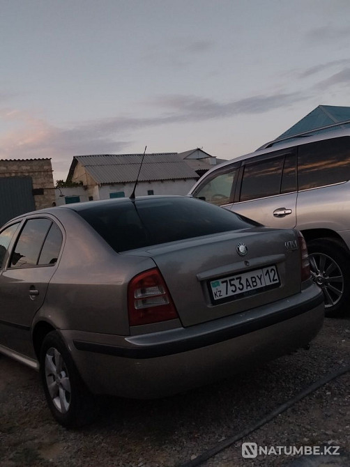    year Almaty - photo 8