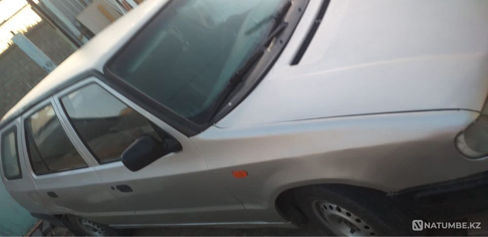    year Almaty - photo 6