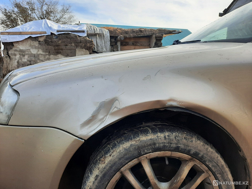    year Almaty - photo 4