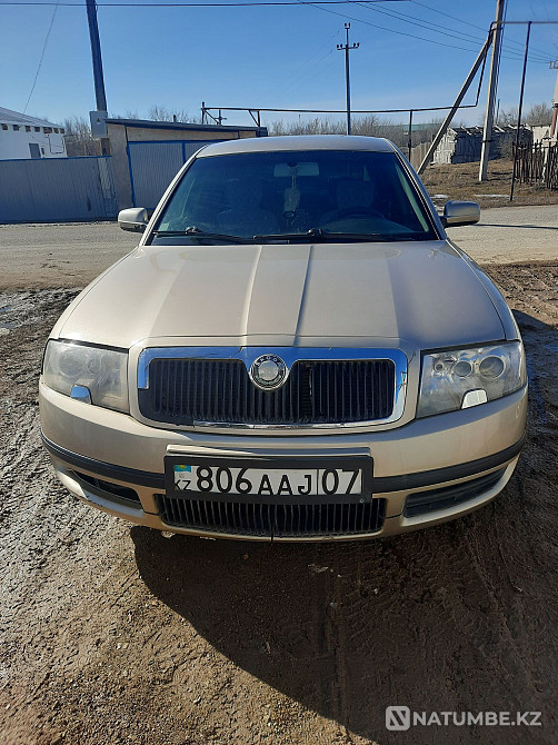    year Almaty - photo 1