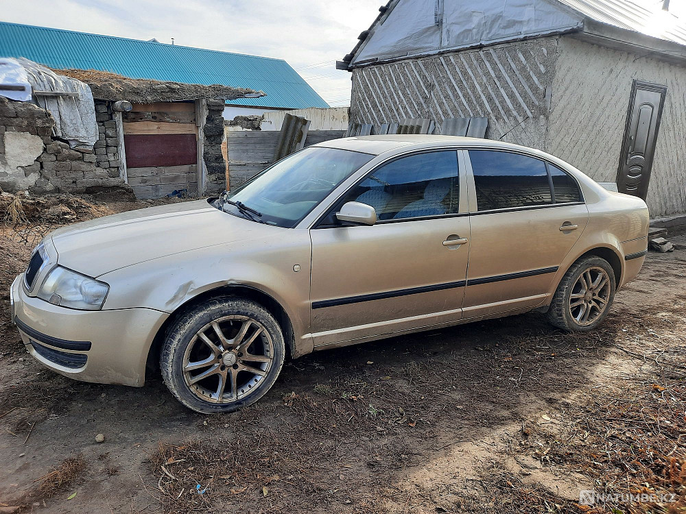    year Almaty - photo 5