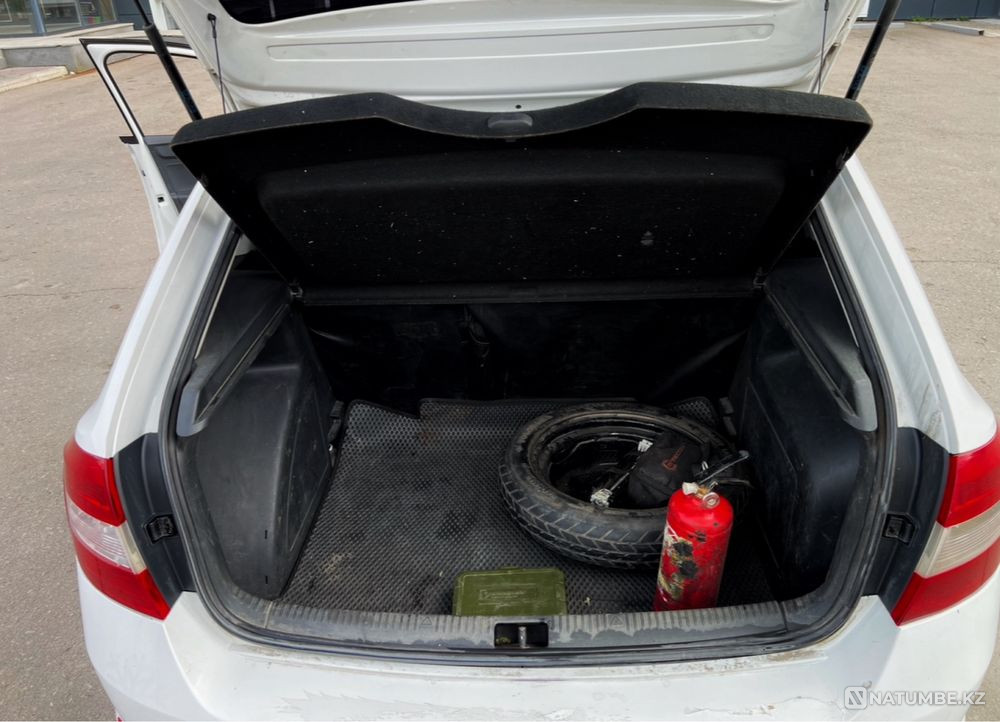    year Almaty - photo 10