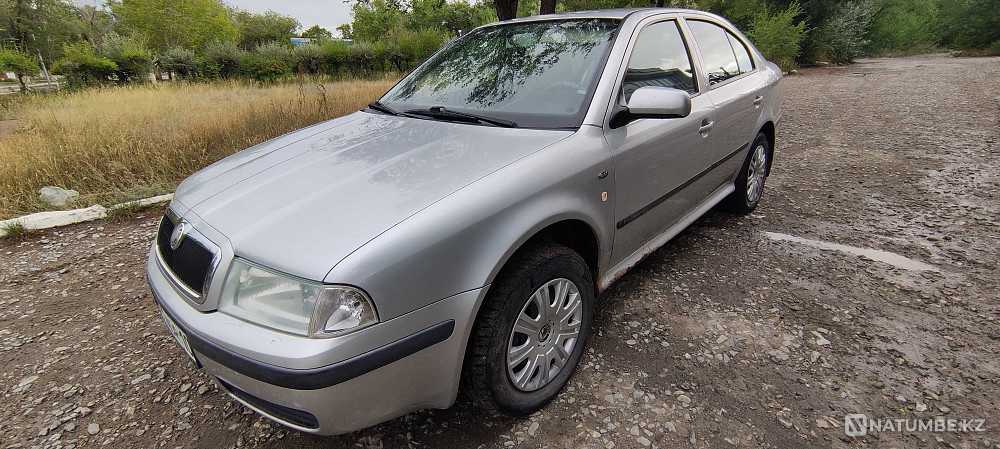    year Almaty - photo 5