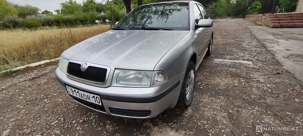    year Almaty - photo 6