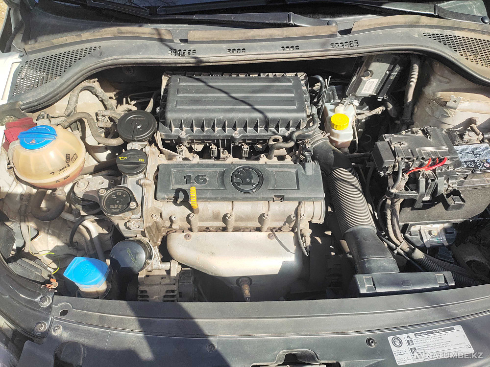    year Almaty - photo 9