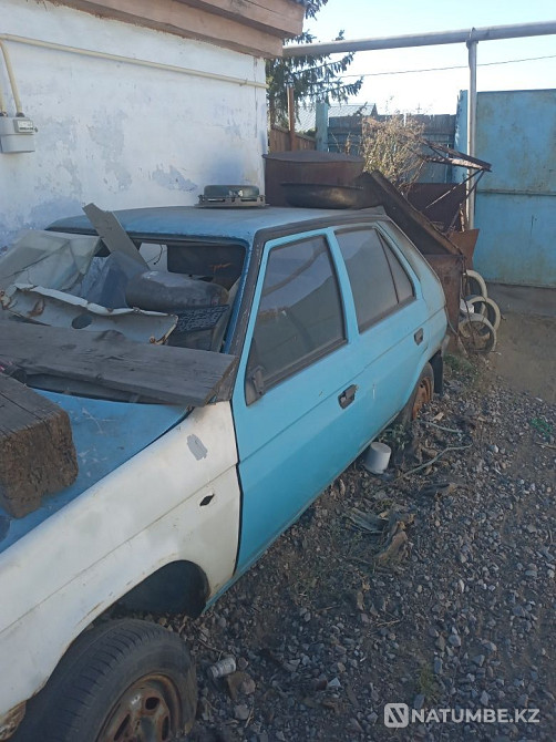    year Almaty - photo 3