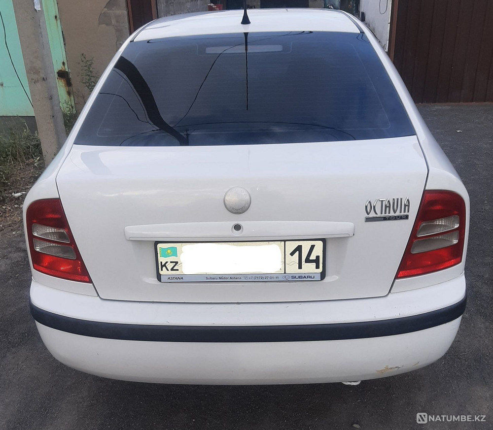    year Almaty - photo 9