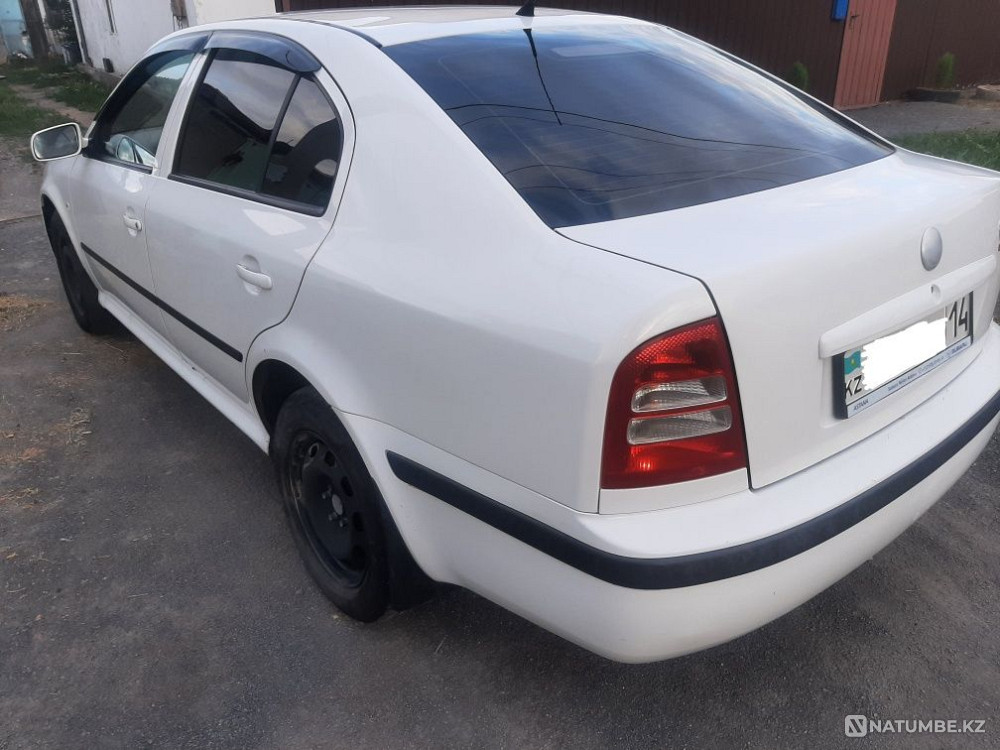    year Almaty - photo 10