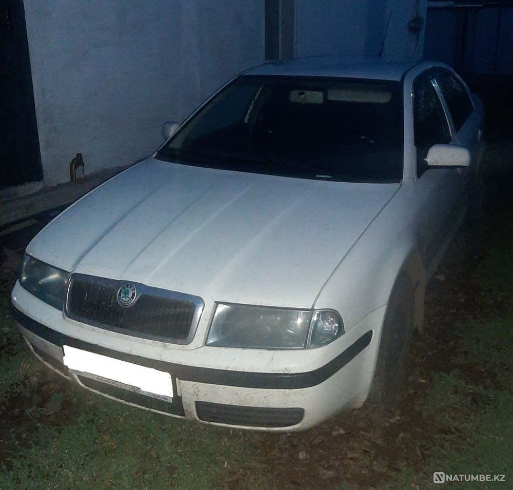    year Almaty - photo 3