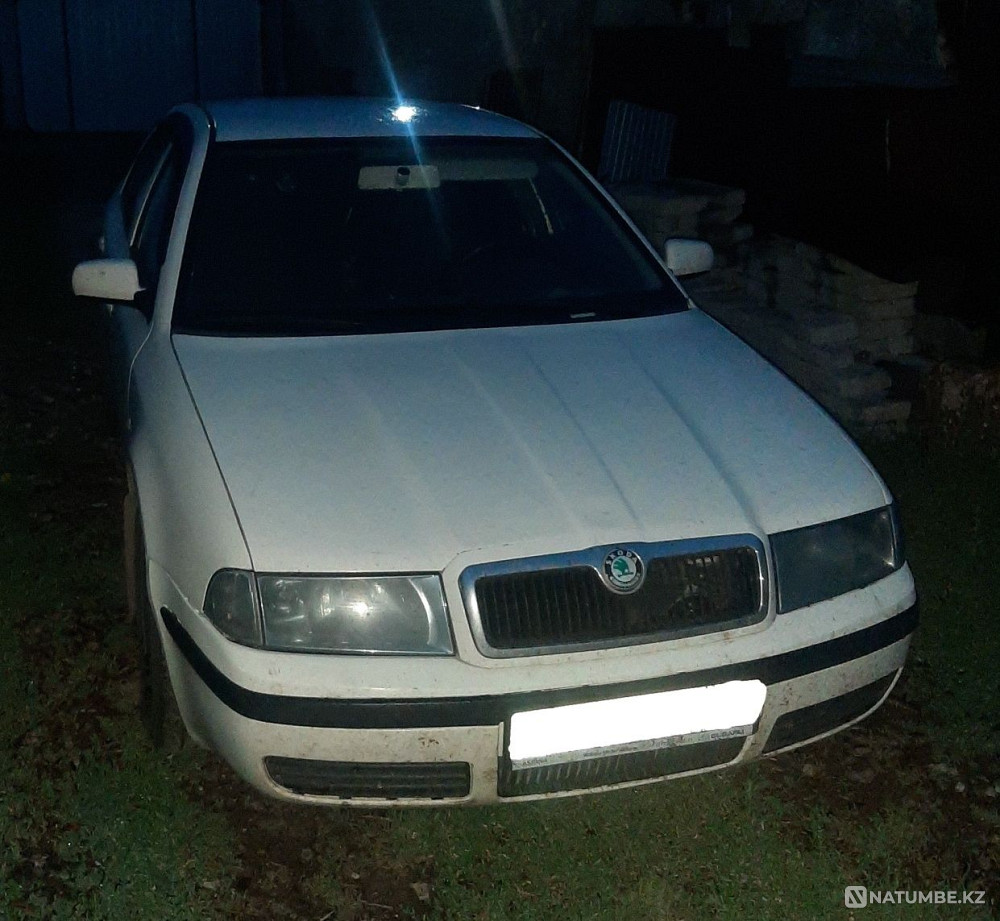    year Almaty - photo 2