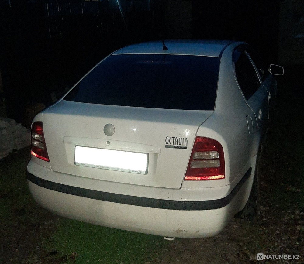    year Almaty - photo 4