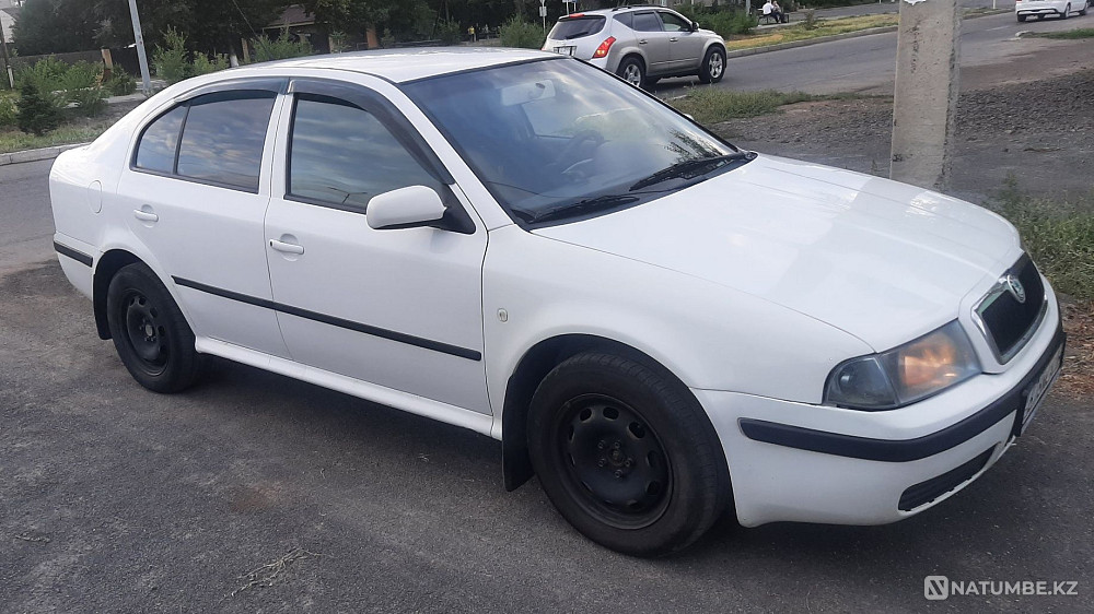    year Almaty - photo 7