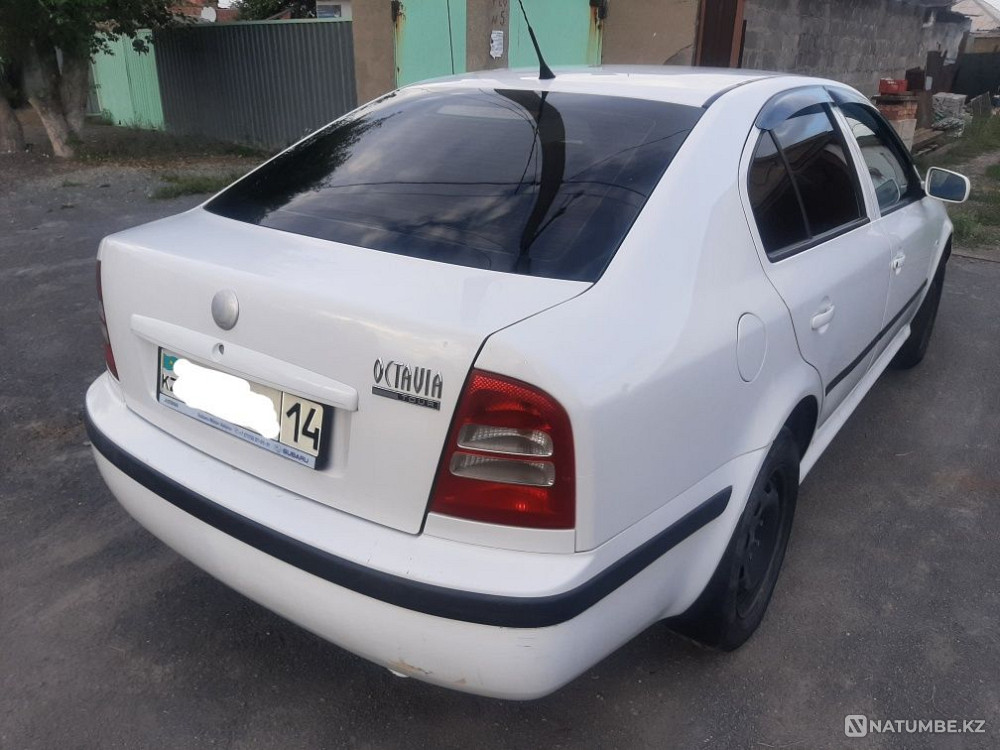    year Almaty - photo 8