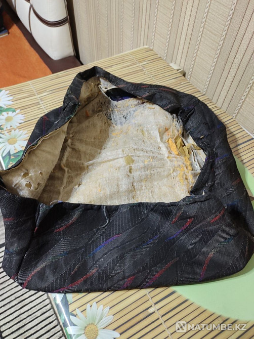    year Almaty - photo 9