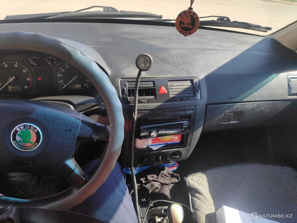    year Almaty - photo 9