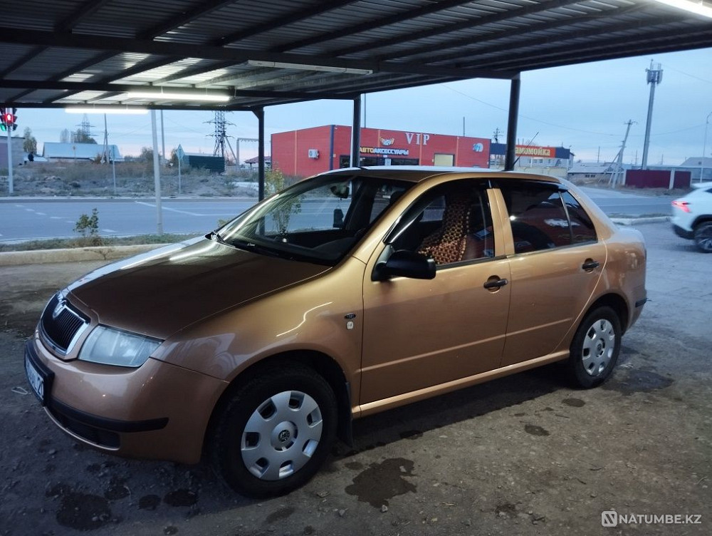    year Almaty - photo 3