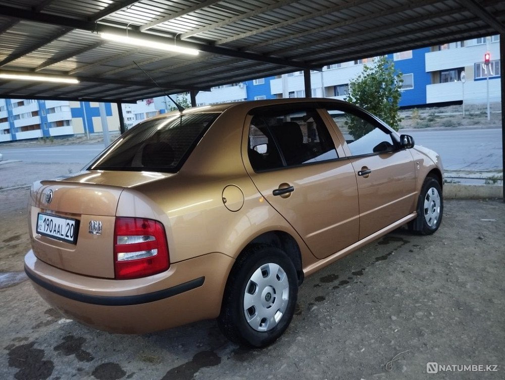    year Almaty - photo 4