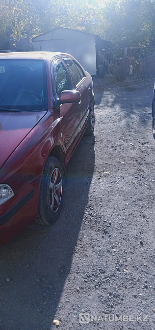    year Almaty - photo 2