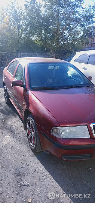    year Almaty - photo 1