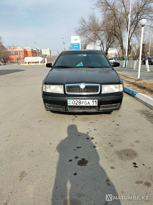    year Almaty - photo 3