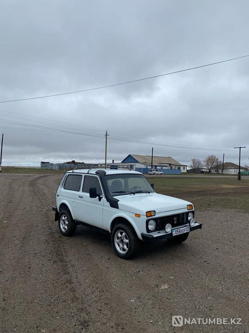    года Астана - изображение 1