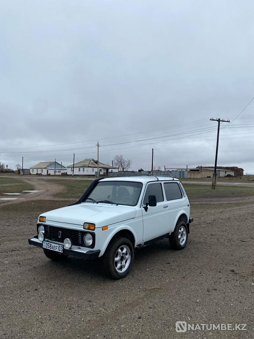    года Астана - изображение 2