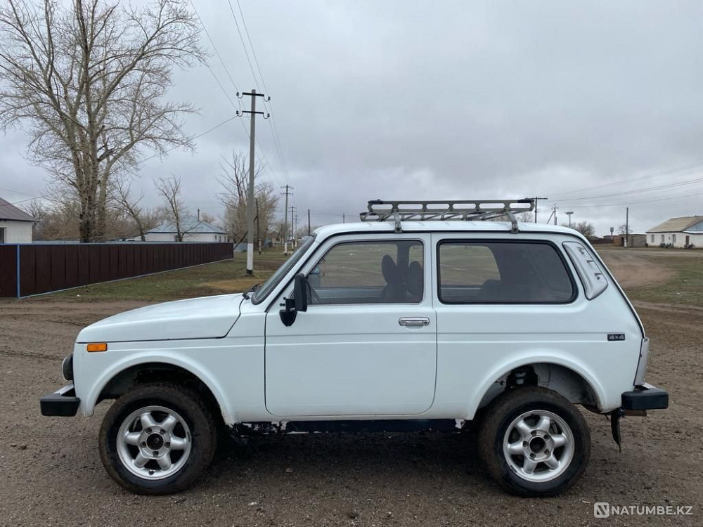    года Астана - изображение 4