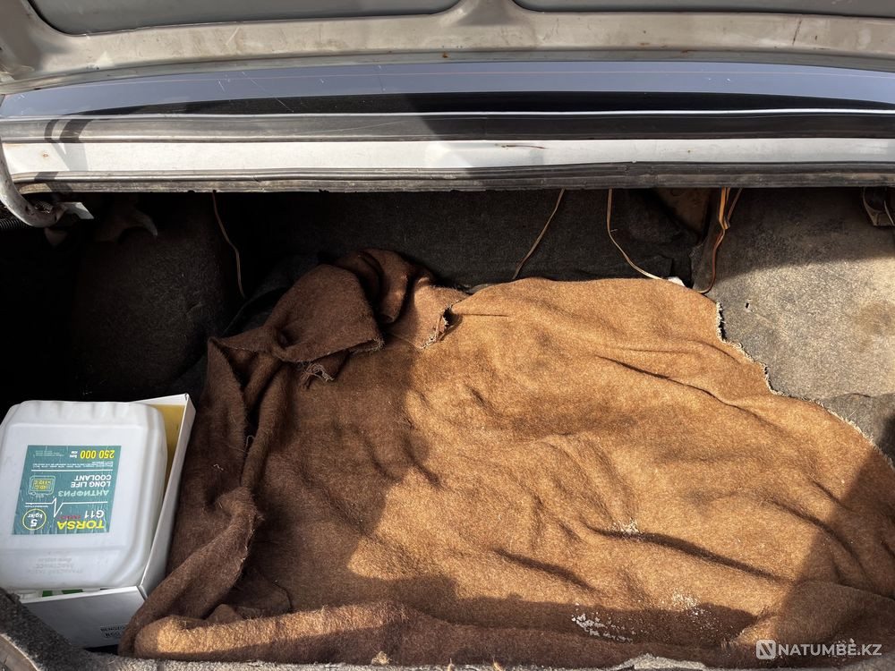    year Astana - photo 7