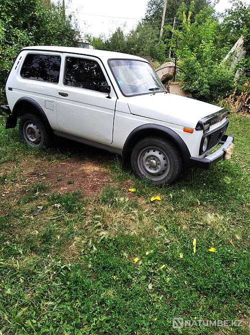    года Астана - изображение 2