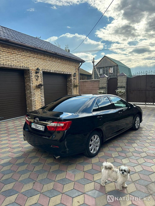    года Астана - изображение 3